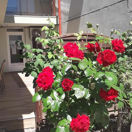 Orchidea Ii 3* Heviz