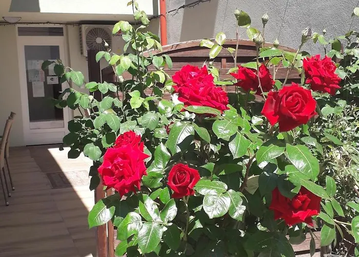 Orchidea Ii 3* Hévíz