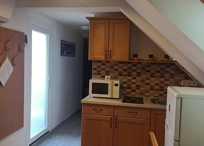 ゲストハウス Orchidea Ii